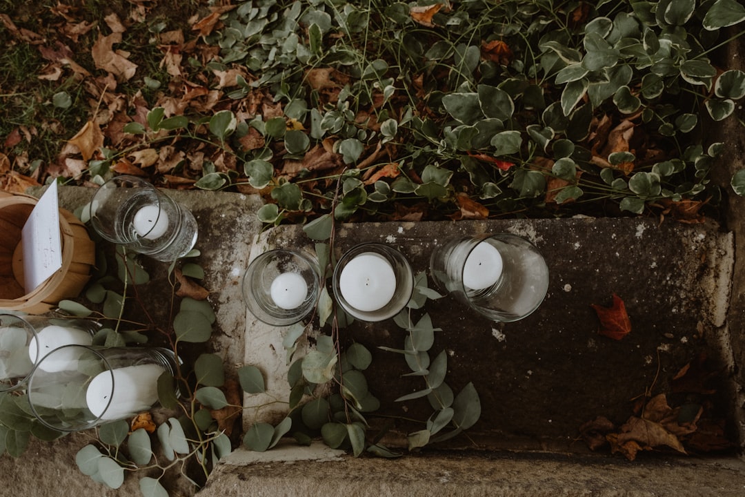 Mariage Minimaliste — Verdure & Bougies